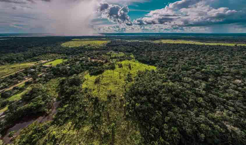 Prefeitura fortalece política de preservação ambiental e foca na Economia Verde