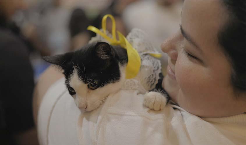 Porto Velho recebe feira de adoção de pets