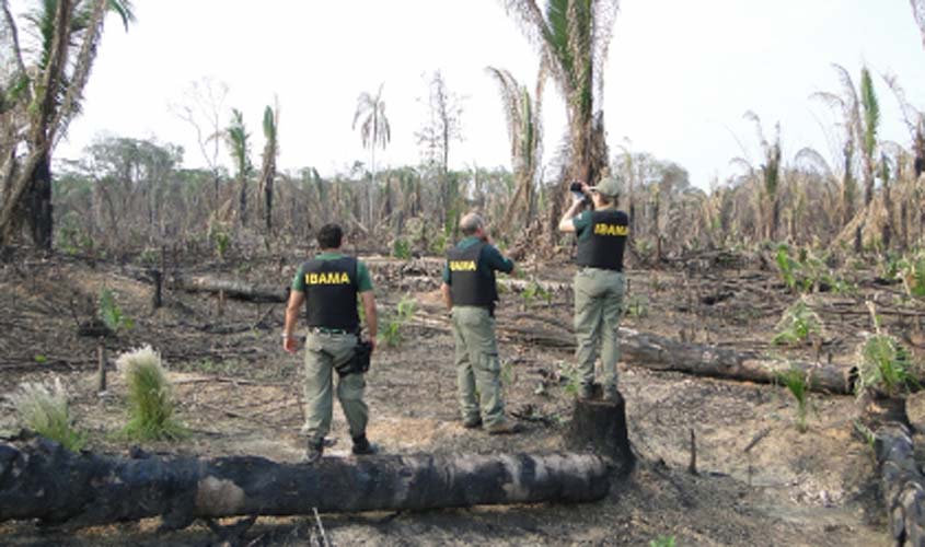 Atacado por madeireiros criminosos, IBAMA recua de fiscalização em Rondônia