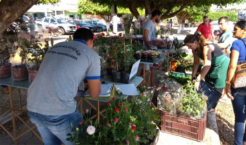 Idaron simplifica cadastro para produtores comerciais e revendedores de plantas ornamentais em Rondônia