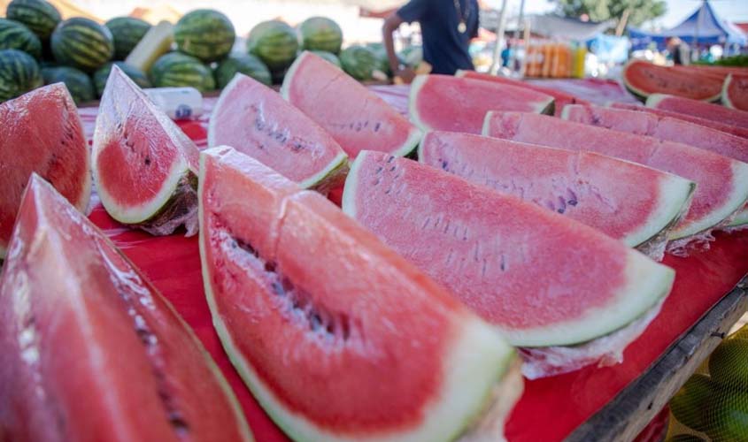 'Dia de Campo' sobre o plantio de melancia acontece nesta sexta-feira (8)