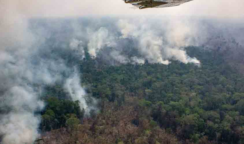 Fazendas com queimadas ilegais na Amazônia receberam R$2,6 bilhões em crédito rural