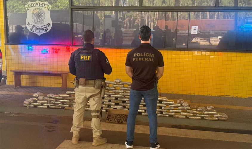 PRF, PF e forças parceiras apreendem munições e skunk