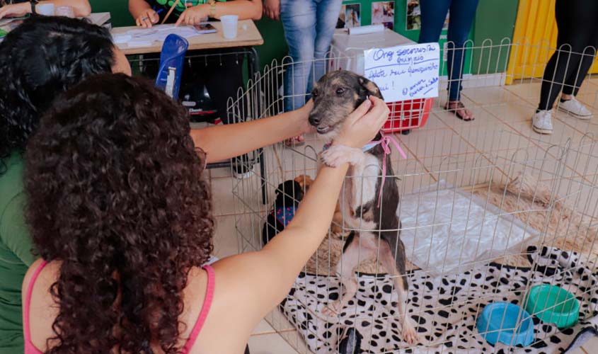 Prefeitura promove adoção de cães e gatos e outros serviços durante ação social na zona Sul de Porto Velho