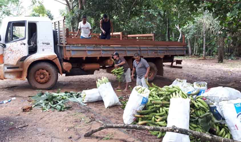 Prefeitura de Porto Velho transporta cerca de 100 toneladas de produção agrícola por mês
