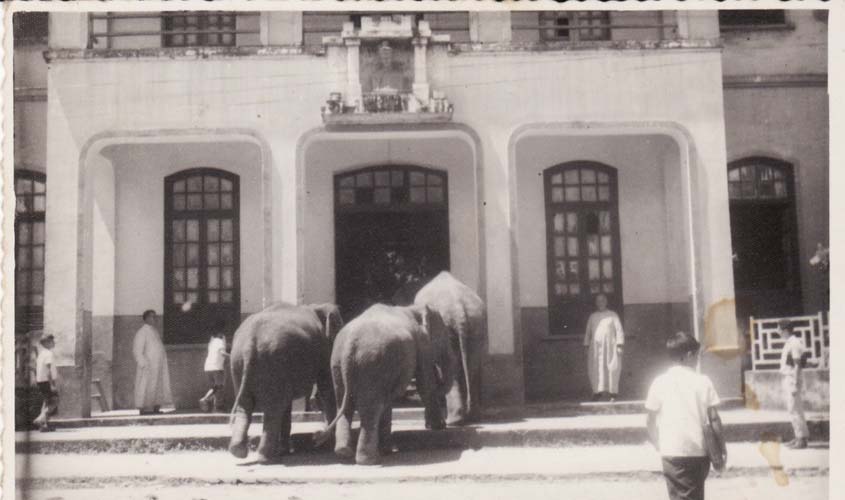 O DIA NA HISTÓRIA 