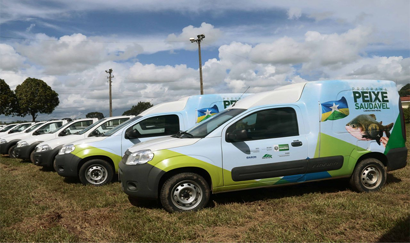 Governo de Rondônia fortalece agropecuária do Estado com investimentos no setor