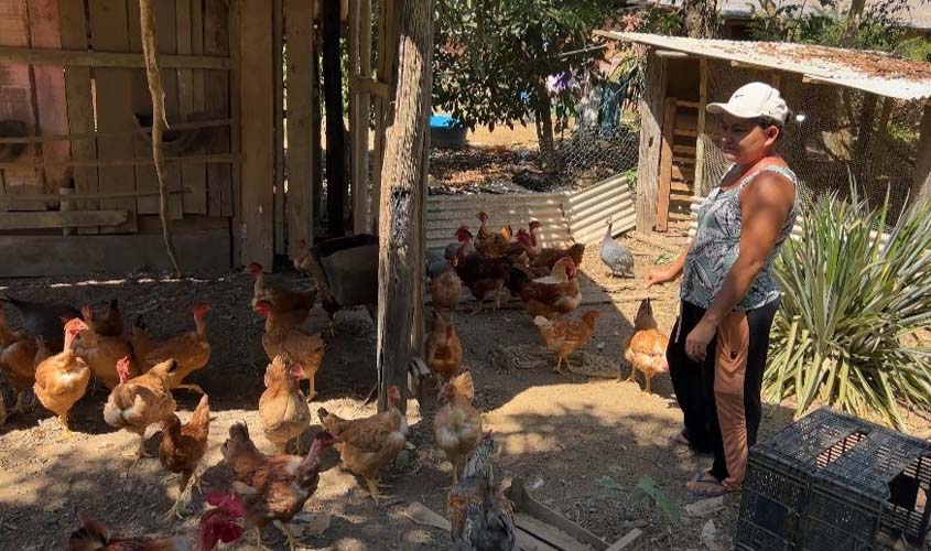 Mulheres ampliam espaço na agricultura familiar