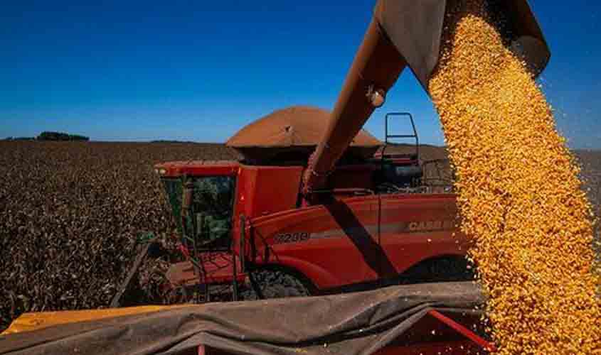 Tarifaço de Trump: cenário pode ser oportuno para exportações brasileiras de café e soja