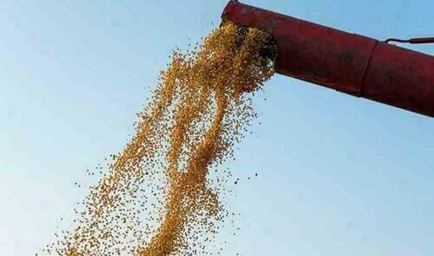 Soja e trigo começam a semana com preços em alta