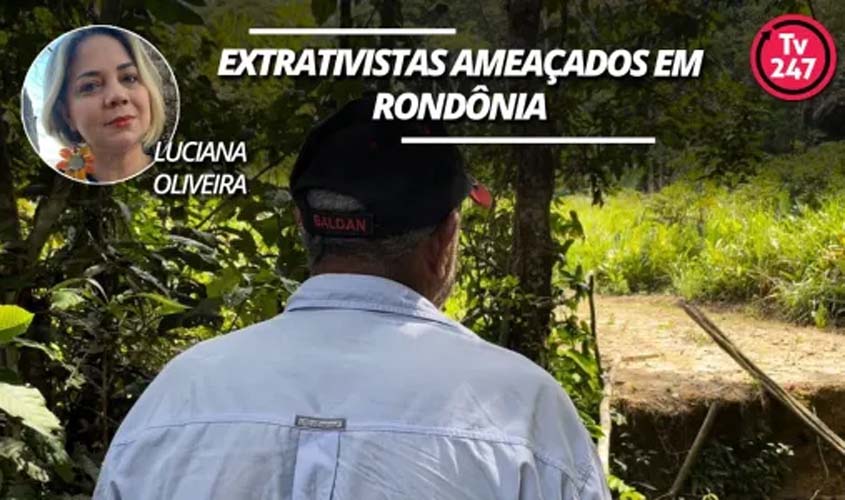 Roubo de madeira, grilagem e usina ameaçam extrativistas em Rondônia
