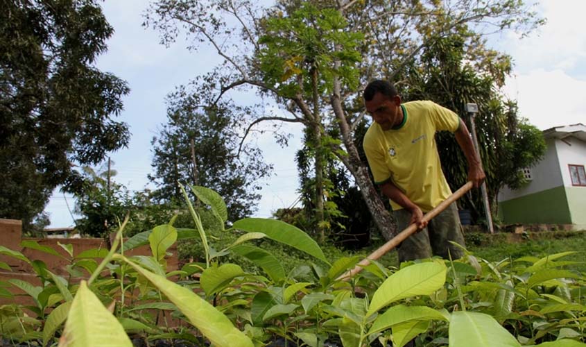 Agricultor que aderir ao Programa de Recuperação Ambiental terá apoio do governo para fazer regularização ambiental