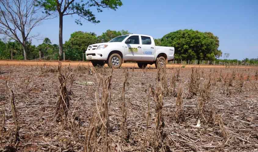 Governo do estado informa sobre o início do vazio sanitário da soja em Rondônia