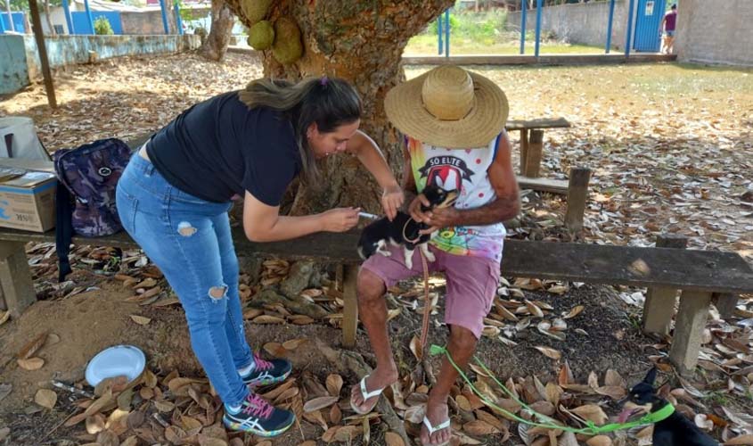 Mais de 300 animais foram imunizados durante vacinação itinerante em Jaci-Paraná