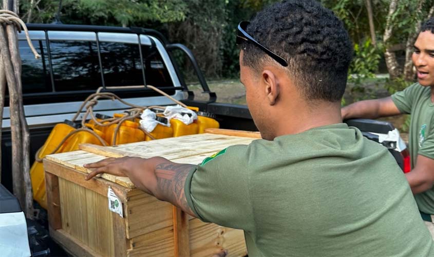 Resgate de paca reforça proteção da fauna em Porto Velho
