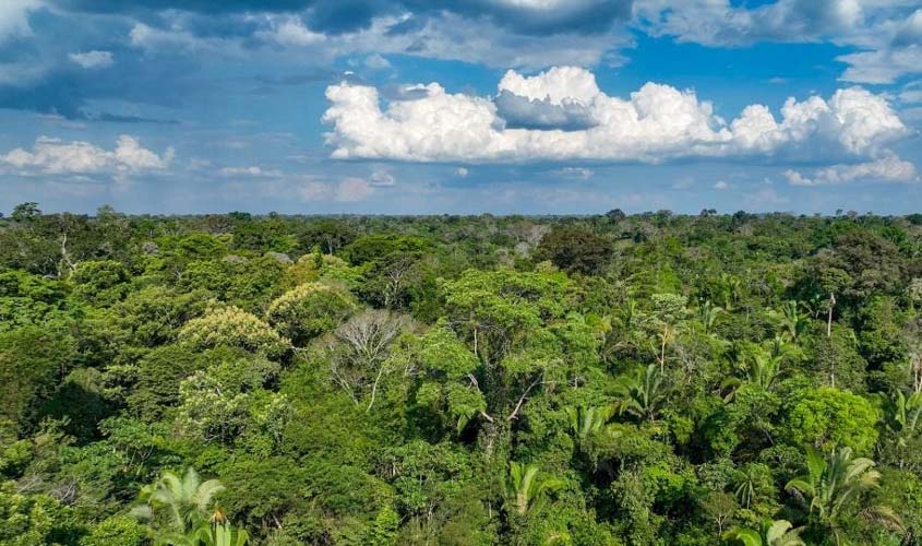 Rio Madeira vende créditos de carbono e apoia Amazônia