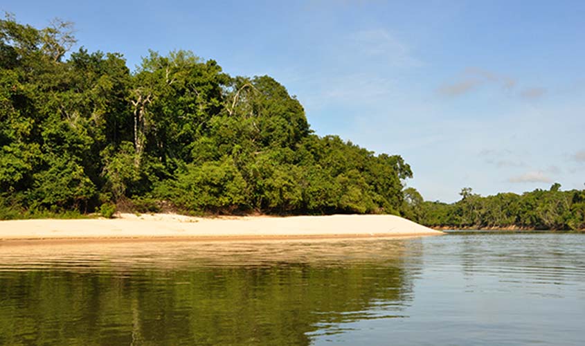 Rondônia apresentará ações de fomento à economia verde na COP-27; desenvolvimento e sustentabilidade