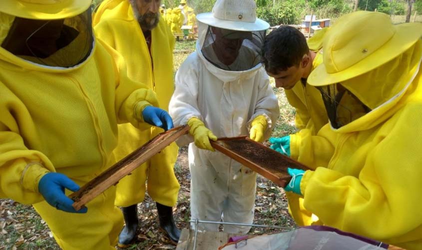 Prefeitura realiza curso de capacitação para o manuseio e transformação de cera de abelha