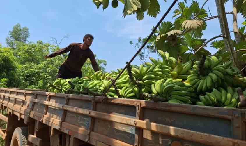 Município atende ao homem do campo com transporte dos produtos da agricultura familiar