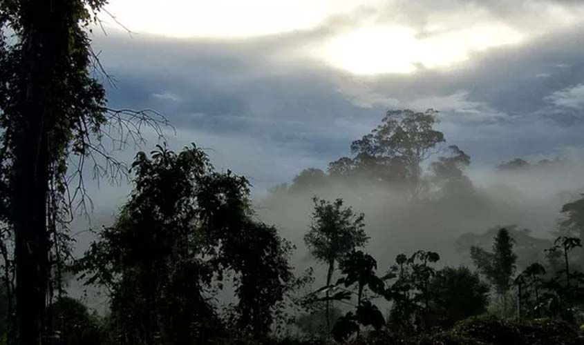 Relatório registra a descoberta de 20 espécies de mamíferos na Amazônia entre 2014 e 2015