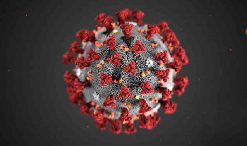Covid-19: Rondônia com 132.167 casos e 2.369 mortes; Porto Velho registrou 4 mortes nas últimas 24h