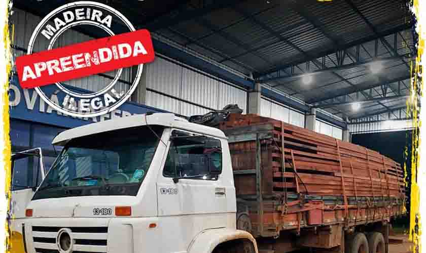 Em Rondônia, PRF identifica transportes irregulares de madeira