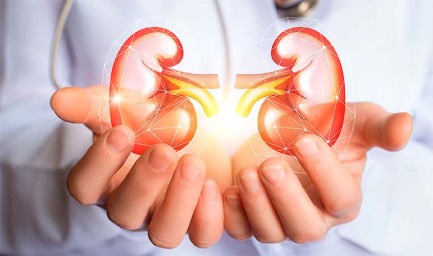 Dia Mundial do Rim: entenda os riscos da doença renal crônica e saiba como se prevenir