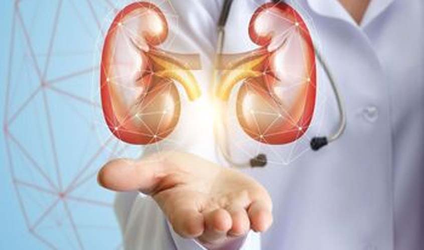 Dia Mundial do Rim: especialista esclarece as principais dúvidas sobre a saúde renal