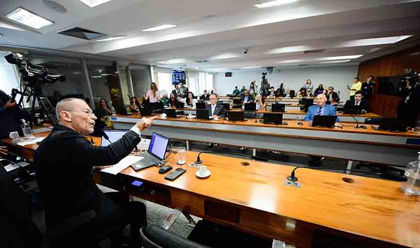 CMA aprova emenda que estende porte de arma a fiscais ambientais 