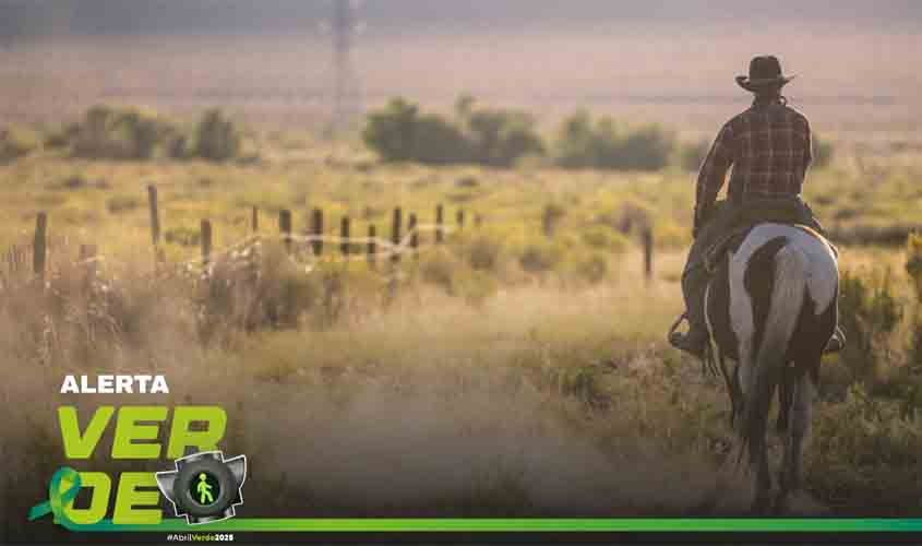 Agropecuária vai indenizar vaqueiro por queda de cavalo