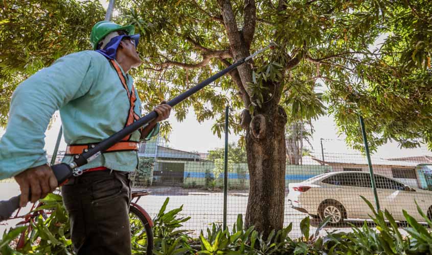 Parque Jardim das Mangueiras recebe mutirão de limpeza e poda de árvores