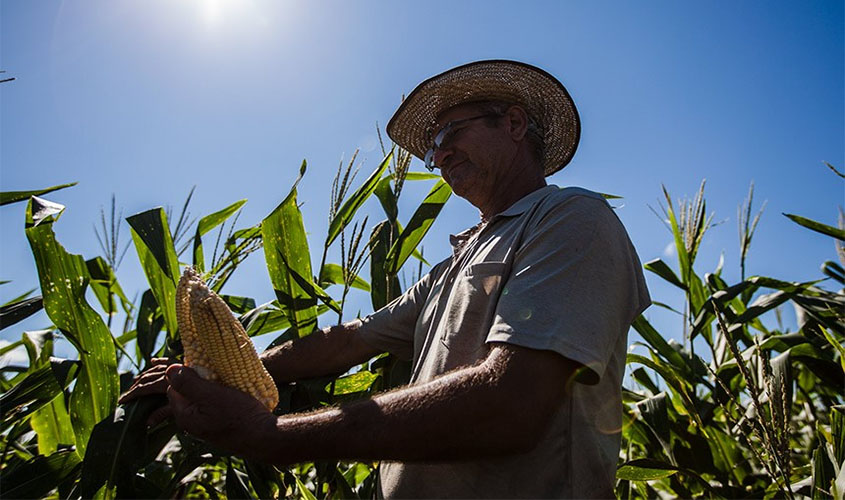 Conab investe mais de R$ 4 milhões na agricultura familiar por meio do PAA