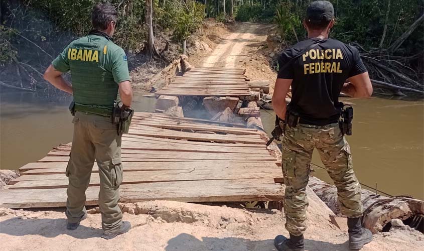 PF deflagra operação em combate a invasores de terras indígenas em Rondônia