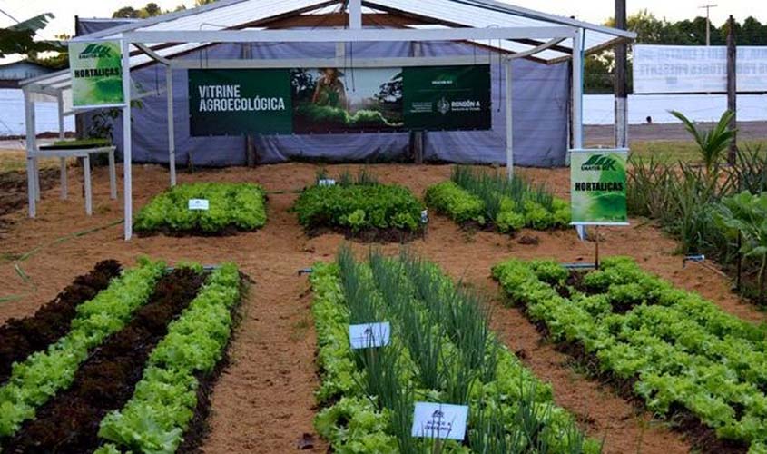 Evento online vai debater a produção e comercialização de produtos na 3ª Semana de Agroecologia em Rondônia