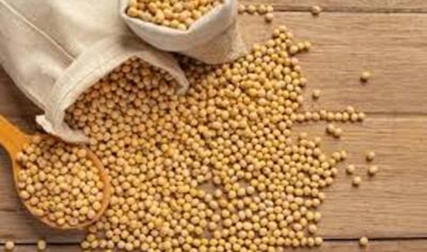 Soja e trigo: veja as cotações desta quarta-feira (8)