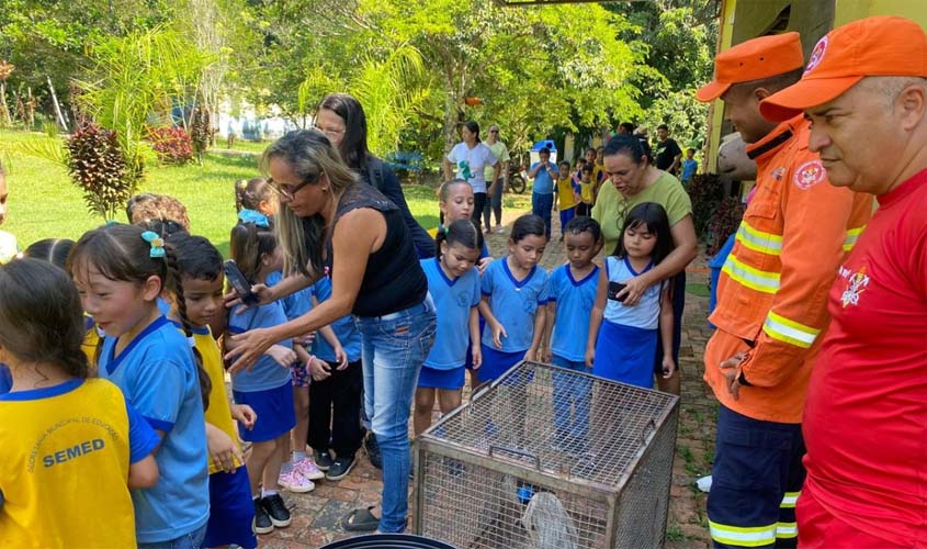 Bombeiros soltam animais silvestres em parque de PVH