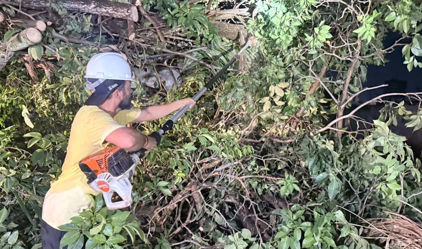 Equipes removem árvores caídas após temporal