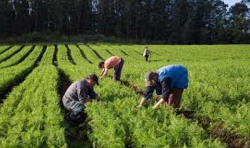 Garantia-Safra 2020/2021: Ministério da Agricultura abre prazo para agricultores familiares