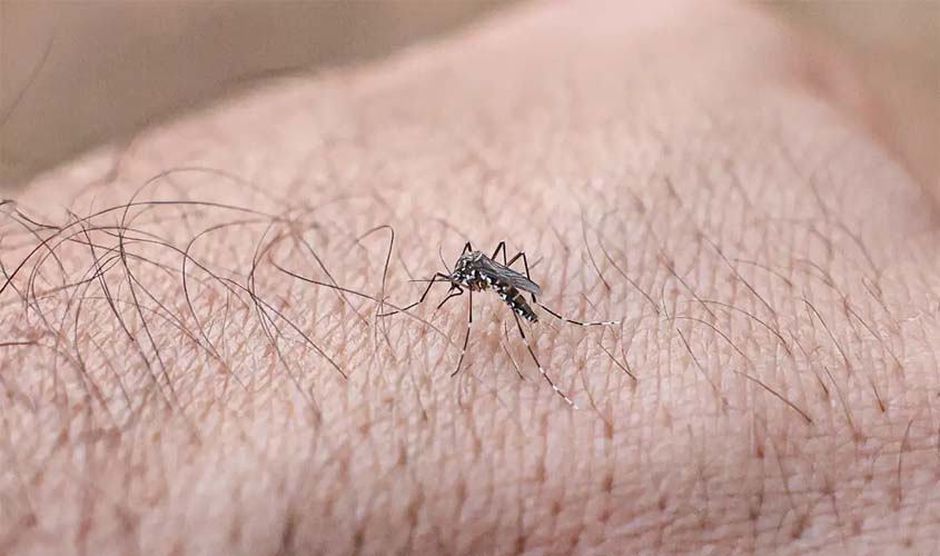 Dia D contra o Aedes aegypti acontece em todo o país