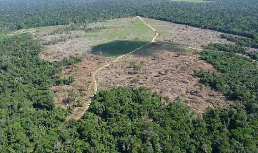 AGU obtém condenação de infratores ambientais em Rondônia