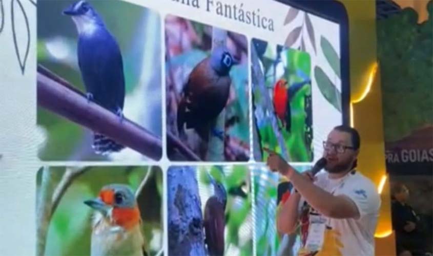 Prefeitura quer cidade como Capital da Observação de Aves