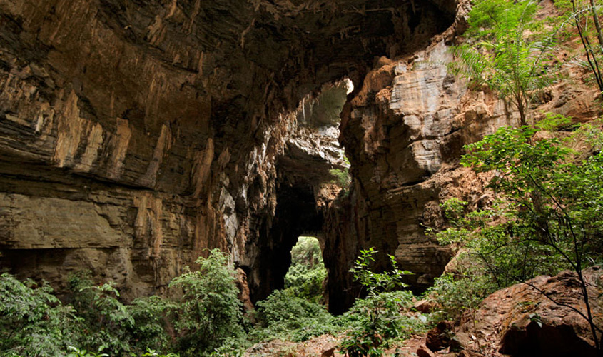 Seis metas para um 2018 cheio de natureza