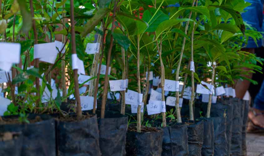 Trabalho ambiental de Porto Velho gera intercâmbio com equipe do Acre