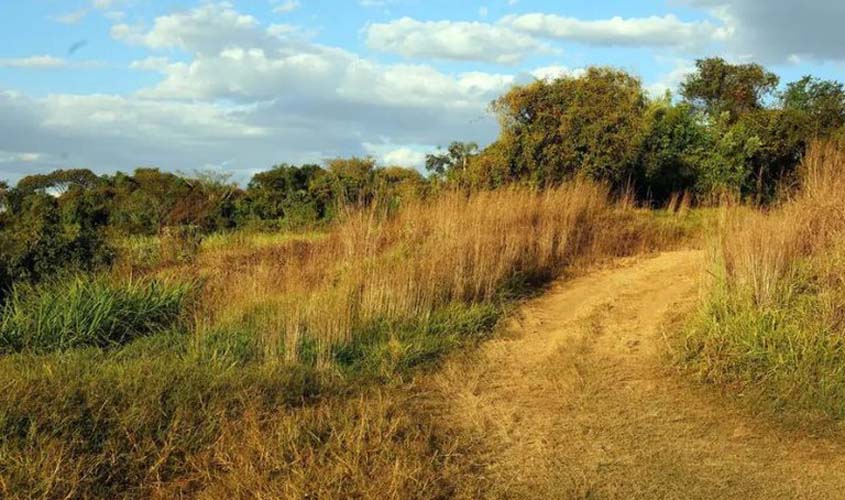 Justiça reconhece fazenda em RO como área pública para reforma agrária
