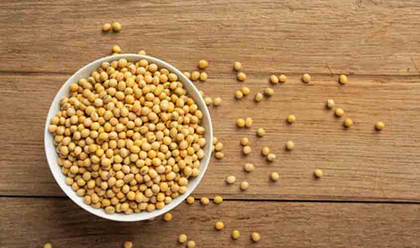 Soja começa a quarta-feira (9) com queda no preço, no Paraná