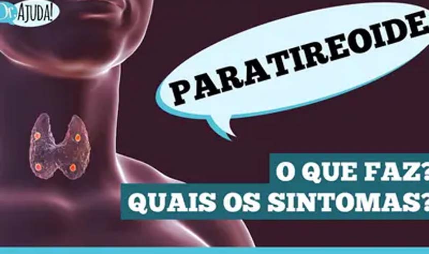Glândulas paratireoides: pequenas, mas essenciais!