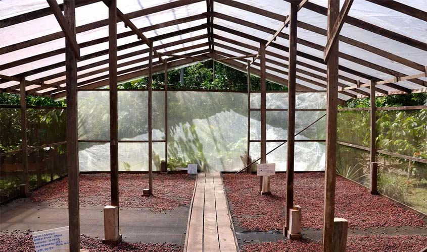 Edital seleciona projetos de inovação no AM, PA e RO