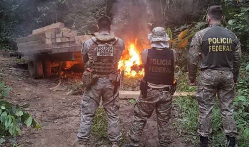 PF faz operação contra crimes ambientais na TI Igarapé Lage