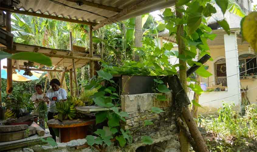 Seis em cada dez quilombolas vivem em área rural, revela Censo do IBGE