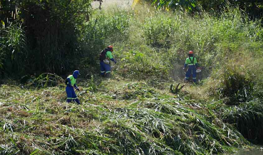 Prefeitura já notificou mais de 500 donos de terrenos abandonados em 2025